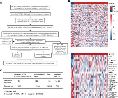 A ferroptosis-related gene signature associated with immune landscape and therapeutic response in osteosarcoma